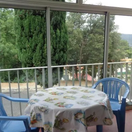 Avec Loggia Vitrée Et Parking à 400m Du Centre - Animaux Bienvenus - Fr-1-703-75 * Amélie-les-Bains-Palalda